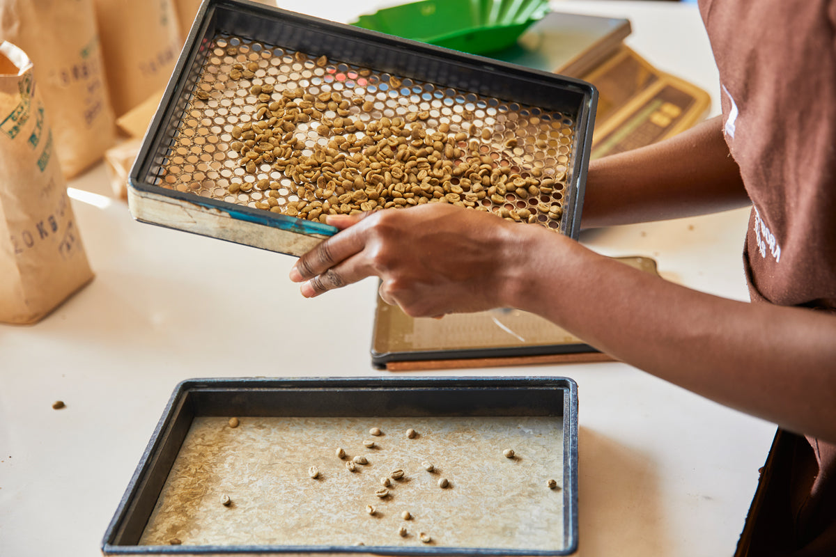 Filter roast ~ Kainamui AB grading