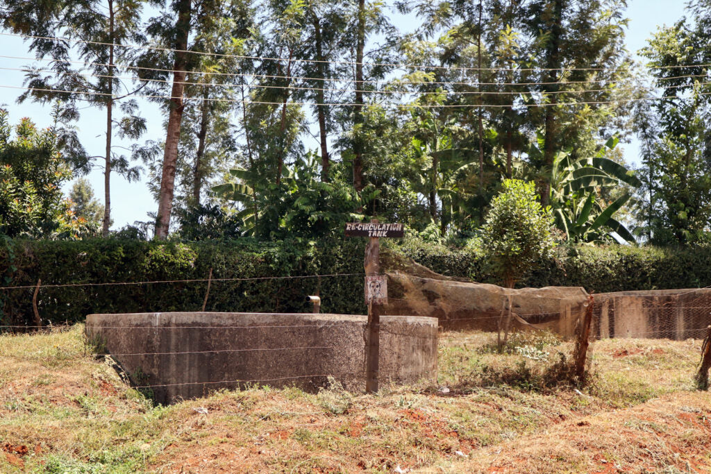 Filter roast ~ Kainamui AB water tank